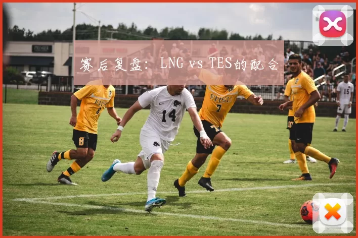 赛后复盘：LNG vs TES的配合