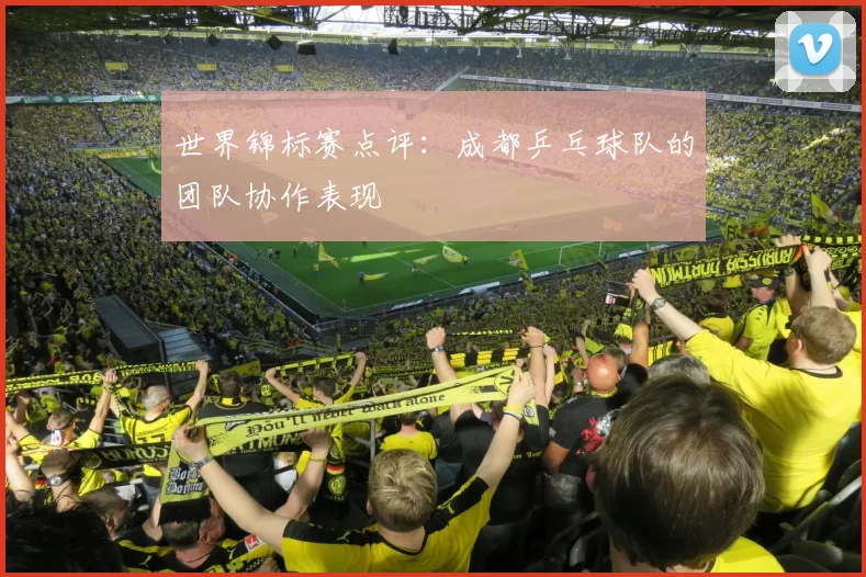 世界锦标赛点评：成都乒乓球队的团队协作表现