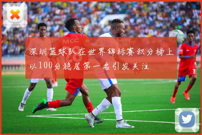 深圳篮球队在世界锦标赛积分榜上以100分稳居第一名引发关注